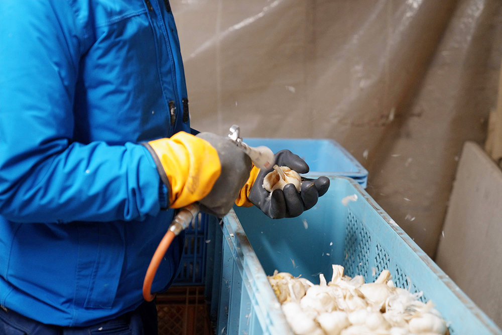 黒にんにく製造工程